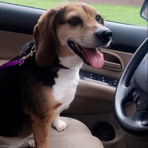 Meet your Posher, Christina hood